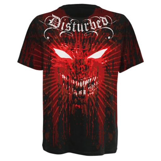 Disturbed The Shining